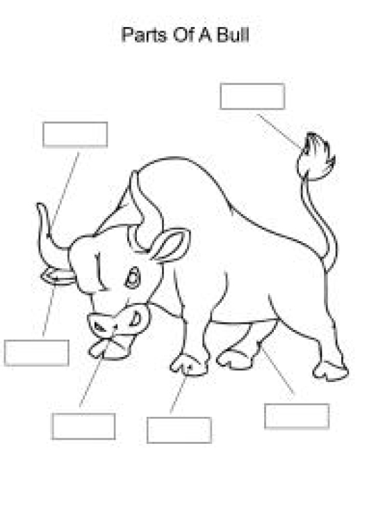 Science Worksheet: Label and color the parts of a Bull Worksheet