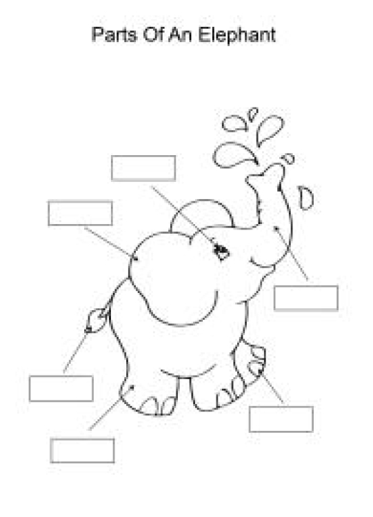 Science Worksheet: Label and color the parts of an Elephant Worksheet