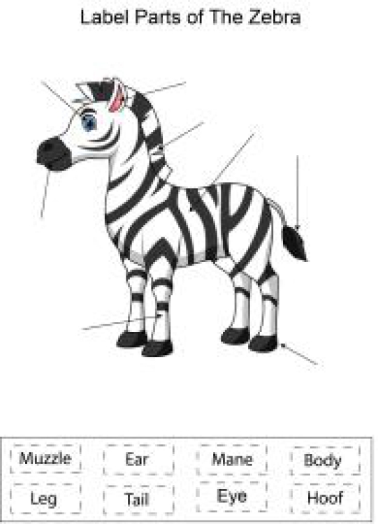 English Worksheet: Label parts of the Zebra Worksheet