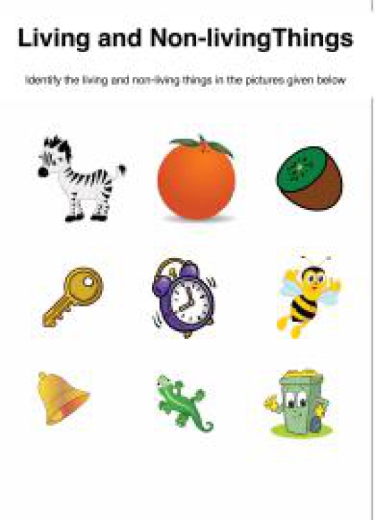 General Awareness Worksheet: Living and Non-Living Things Worksheet