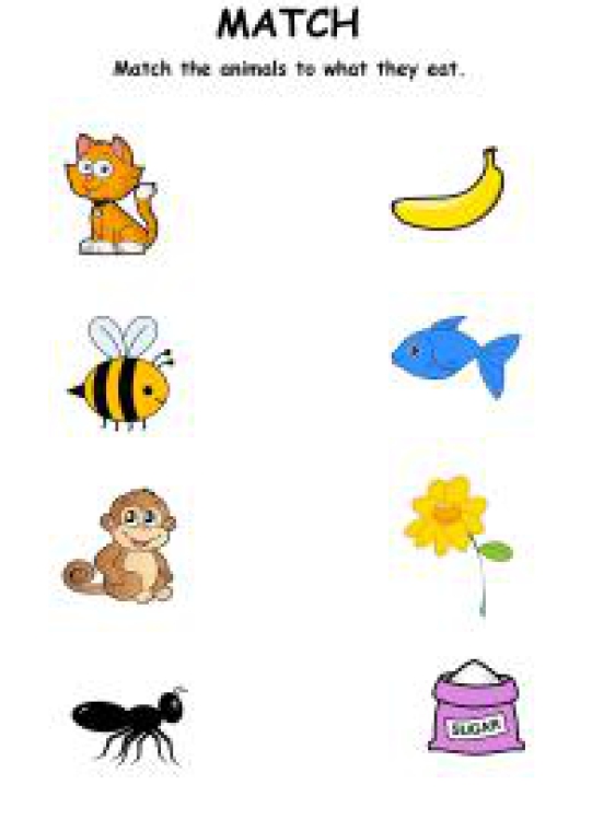 Science Worksheet: Match the animals to what they eat Worksheet