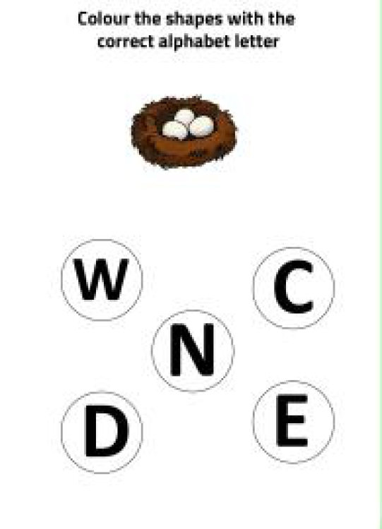 English Worksheet: N for Nest - Practice Beginning Letter Worksheet