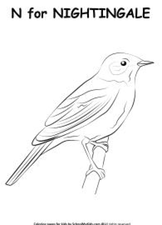 Art And Craft Worksheet: N for Nightingale Coloring Page Worksheet
