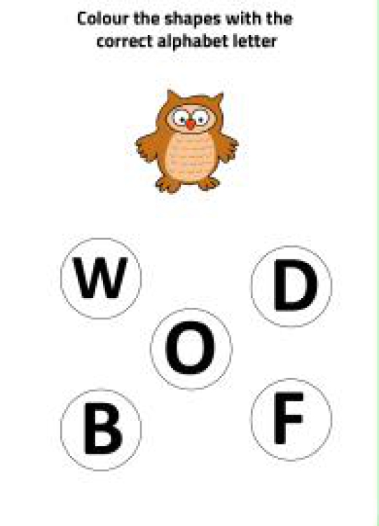 English Worksheet: O for Owl - Practice Beginning Letter Worksheet