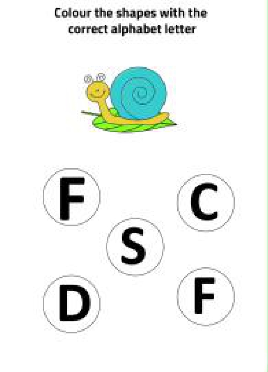 English Worksheet: S for Snail - Practice Beginning Letter Worksheet