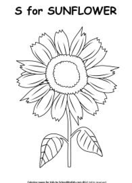 Art And Craft Worksheet: S for Sunflower Coloring Page Worksheet