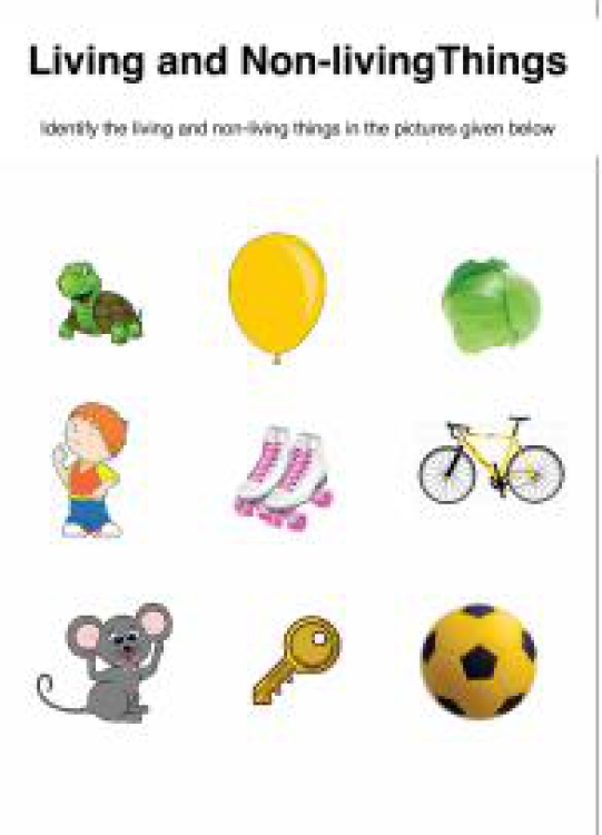 General Awareness Worksheet: Sorting Living and Non-Living Things Worksheet