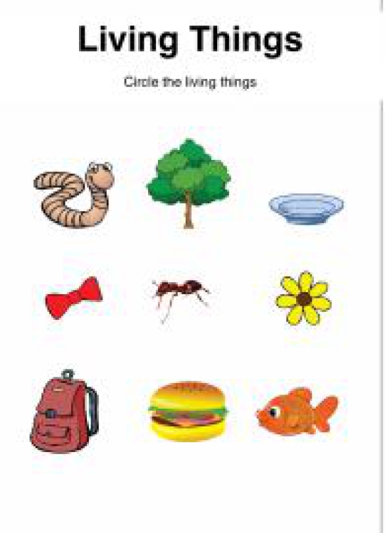 General Awareness Worksheet: Sorting Living Things Worksheet