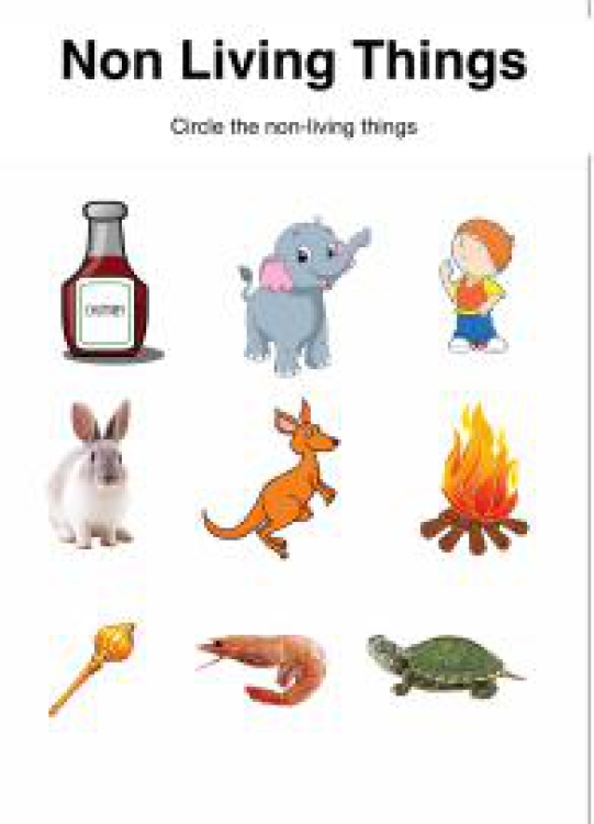 General Awareness Worksheet: Sorting Non-Living Things Worksheet