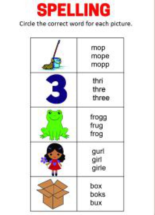 English Worksheet: Spelling - Circle the correct word Worksheet