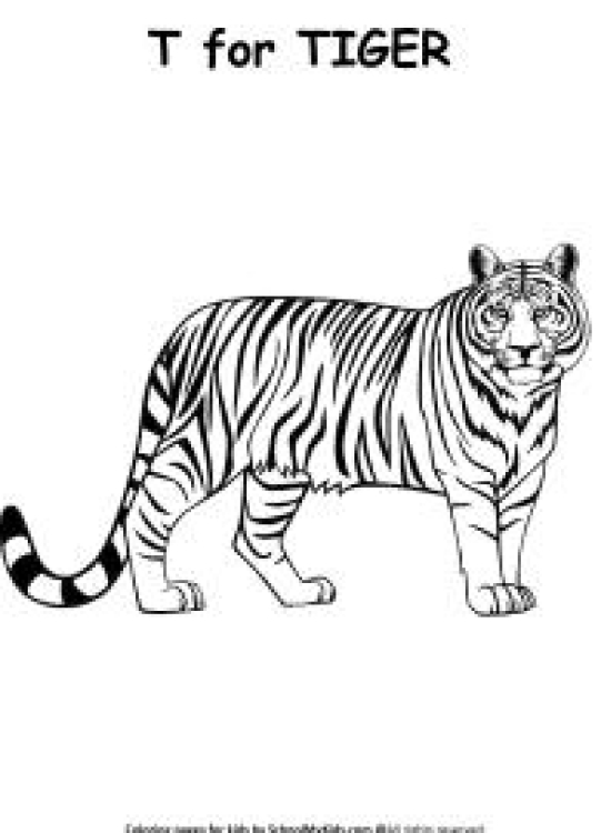 Art And Craft Worksheet: T for Tiger Coloring Page Worksheet