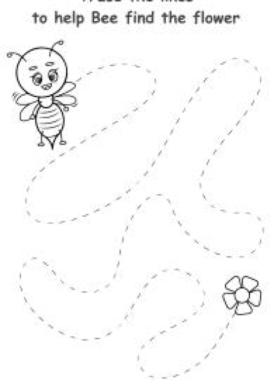 English Worksheet: Tracing - Help Bee find the Flower Worksheet