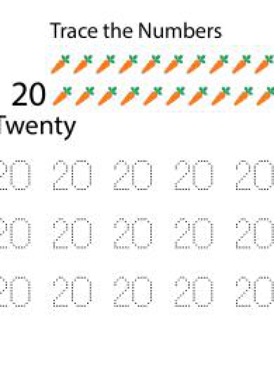 Math Worksheet: Tracing Numbers &amp; Counting 20 Worksheet