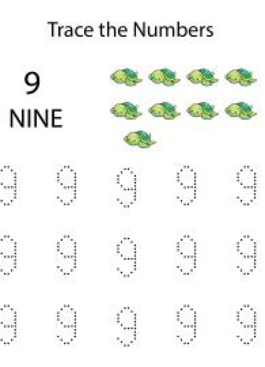 Math Worksheet: Tracing Numbers &amp; Counting 9 Worksheet
