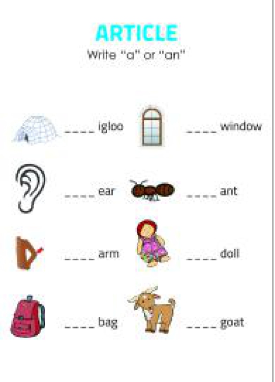 English Worksheet: Use 'A' or 'An' - Fill in the Articles Worksheet